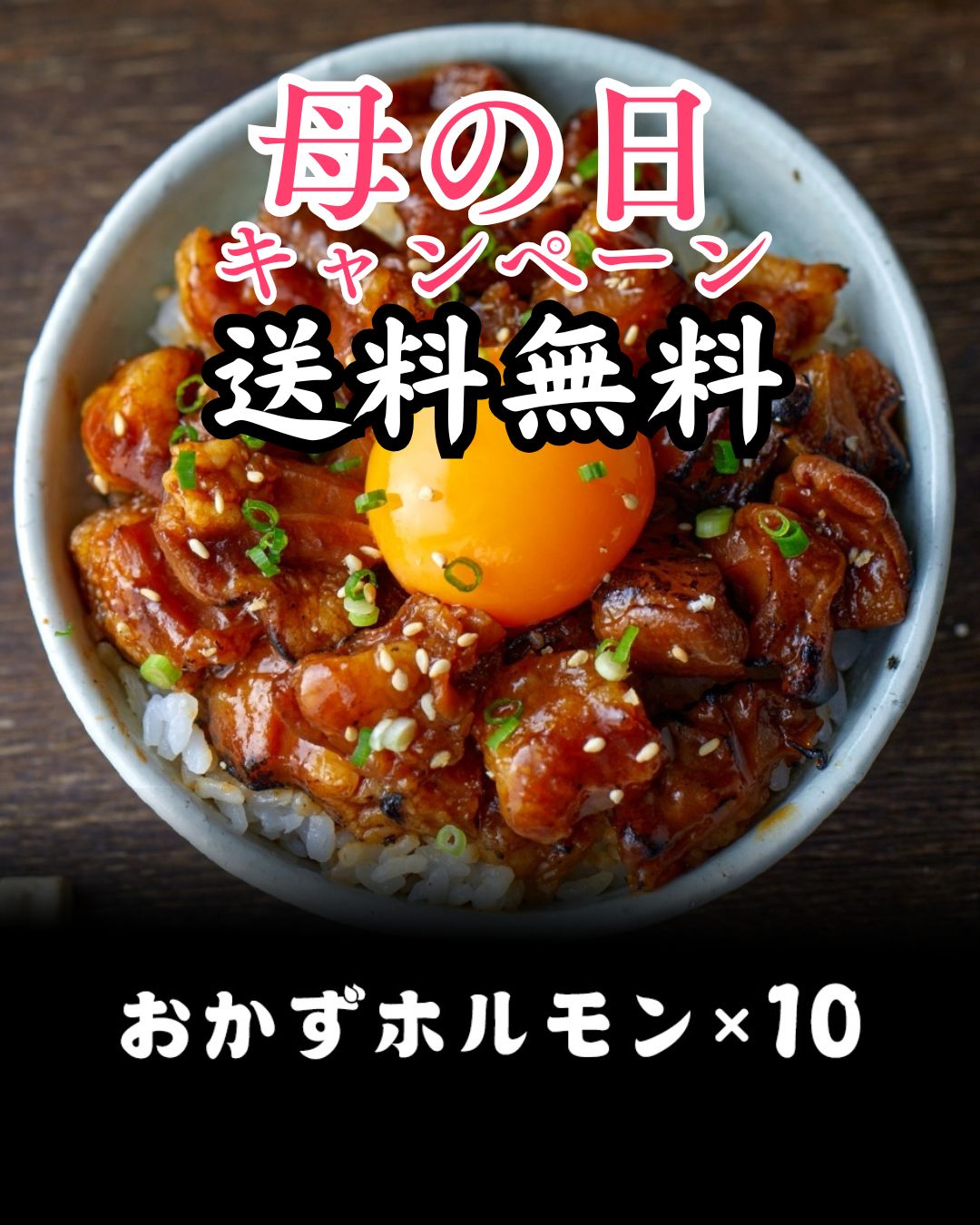 おかずホルモン10パックセット 【ファミリーパック】