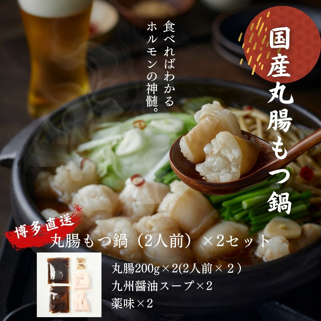 【天ホル満喫セット】定番のおかずホルモン！ピリ辛めんたい味のおかずホルモン！国産丸腸もつ鍋の豪華セット！特製ソースのおまけ付！