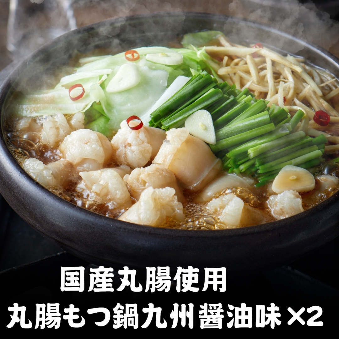 国産丸腸使用！丸腸もつ鍋九州醤油味（2人前）×2セット